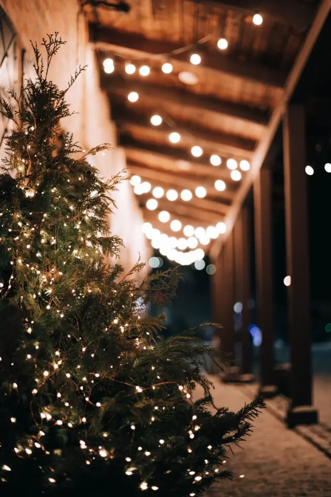 decorar casa árbol de navidad