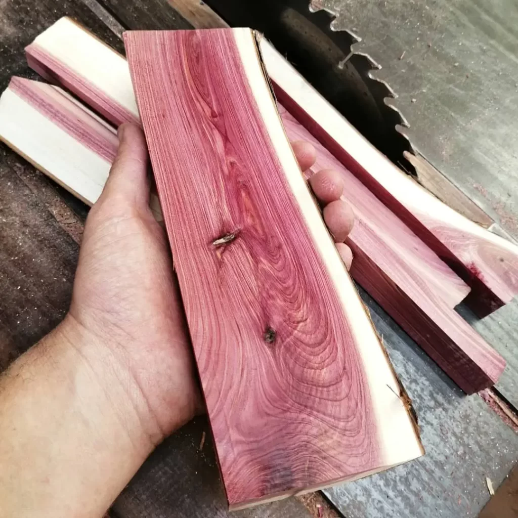 madera de cipres